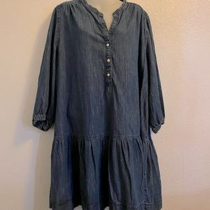Free Assembly Denim Dress